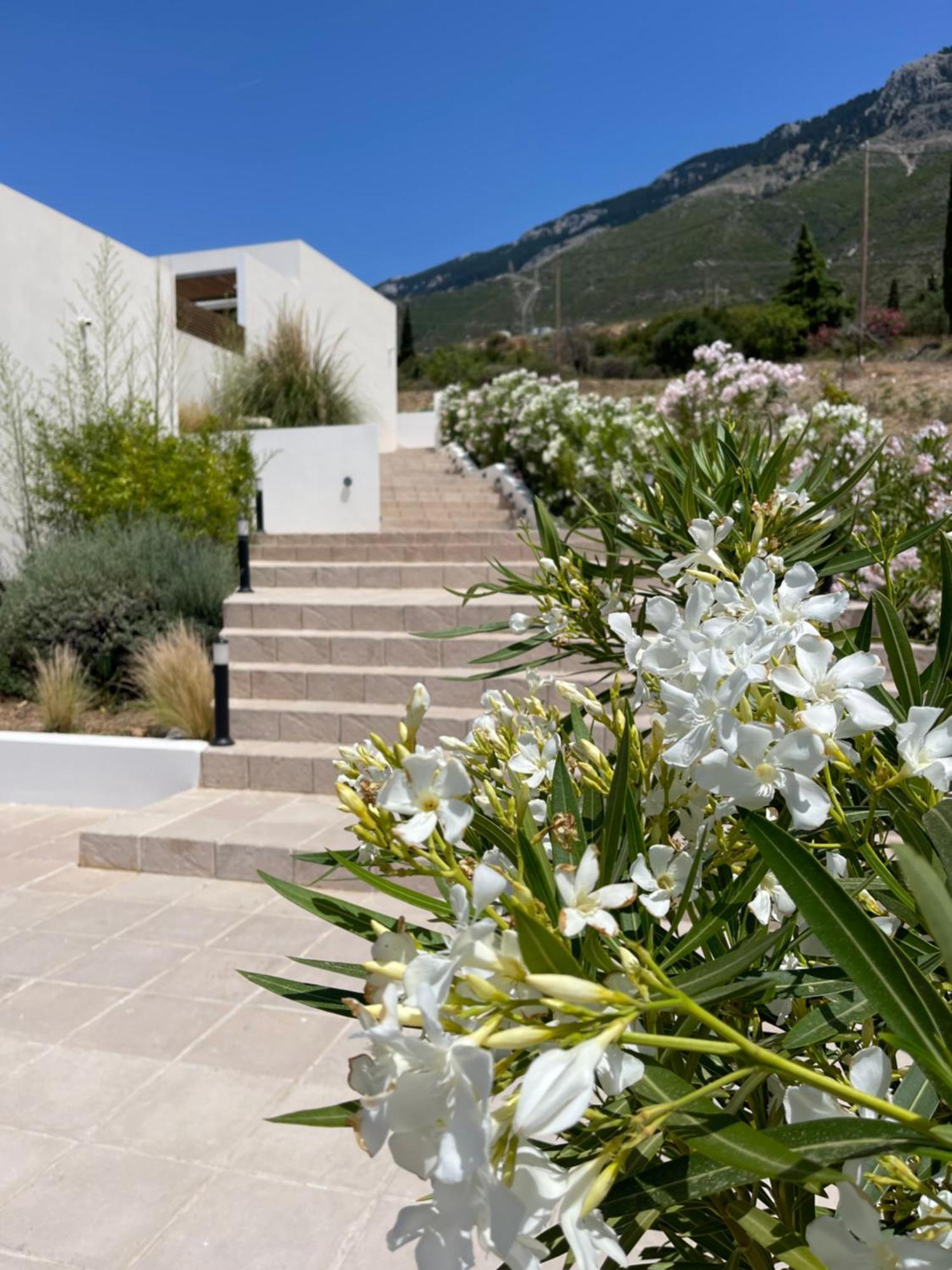 Kefalonian Escape Suites Valerianos Luaran gambar