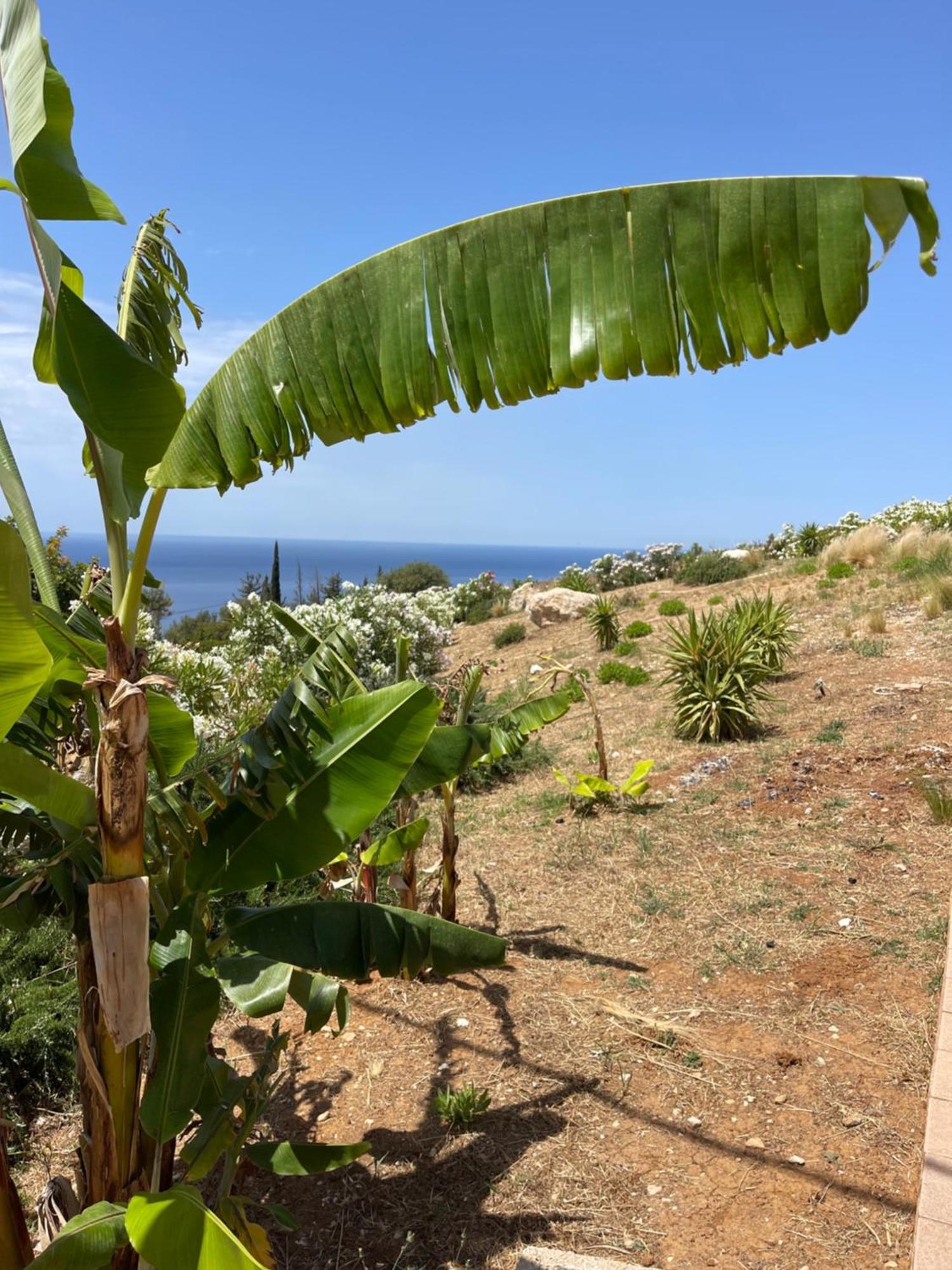 Kefalonian Escape Suites Valerianos Luaran gambar